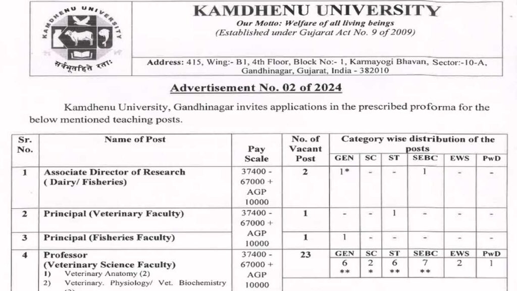 Kamdhenu University Job